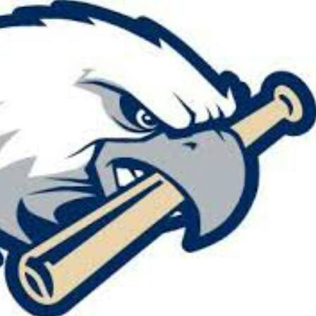 Thompson Falls Youth Baseball logo